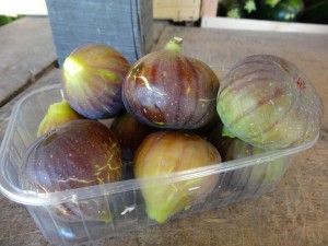 Figues grises