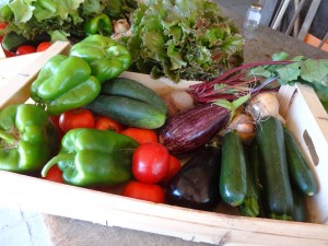 Panier légumes 20150805