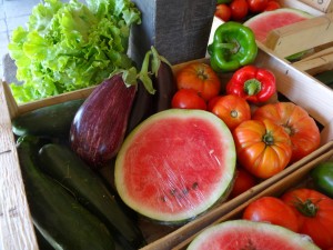 Panier légumes 20150819