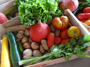 Panier légumes 20150902