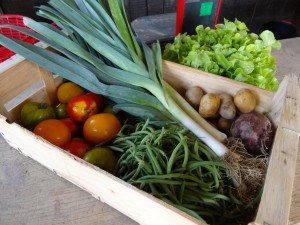 Panier légumes 20150909