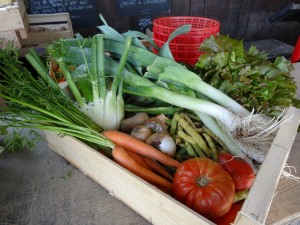 Panier légumes 20150916