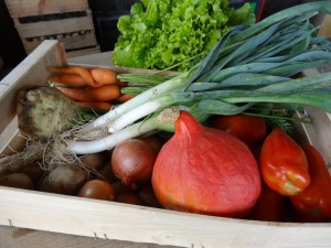 Panier légumes 20150923