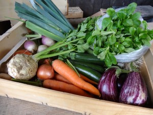 Panier légumes 20150930