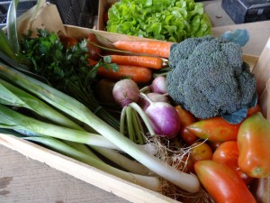 Panier légumes 20151014