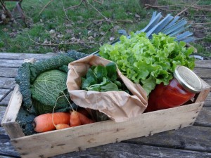 Panier légumes 20160113