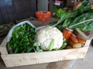 Panier légumes 20160203