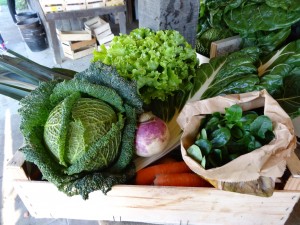 Panier légumes 20160217