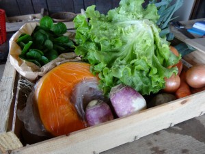 Panier légumes 20160309