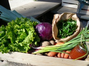 Panier légumes 20160330