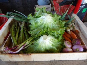 Panier légumes 20160413