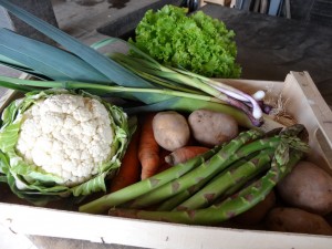 Panier légumes 20160420