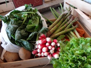 Panier légumes 20160427