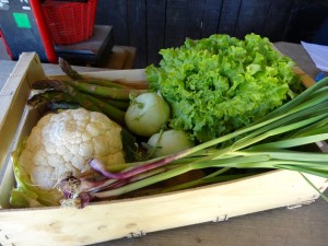 Panier légumes 20160504