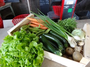 Panier légumes 20160525