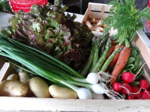 Panier légumes 20160601