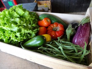 Panier légumes 20160713