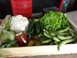 Panier légumes 20170503