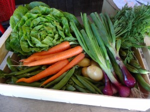 Panier légumes 20170608