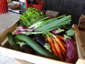 Panier de légumes du mercredi 21 juin 2017