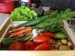 Panier de légumes du mercredi 28 juin 2017