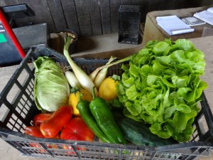 Panier de légumes du mercredi 12 juillet 2017