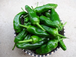 Pimientos del Padron